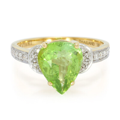 18K Paraiba Tourmaline Gold Ring (AMAYANI)