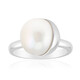 White Freshwater Pearl Silver Ring (Michelle Albala)
