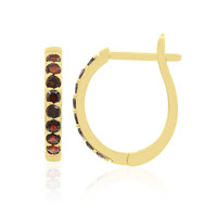 Garnet Silver Earrings