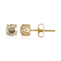 14K I1 Brown Diamond Gold Earrings
