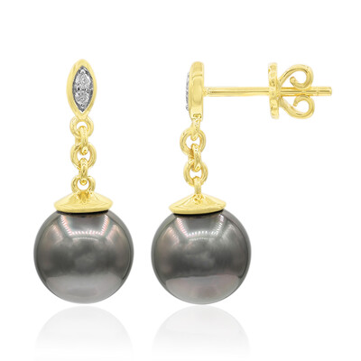 9K Tahitian Pearl Gold Earrings (TPC)