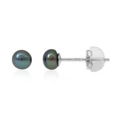 Freshwater pearl Silver Earrings