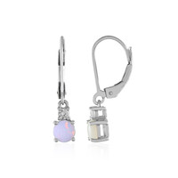 Australian Opal Silver Earrings