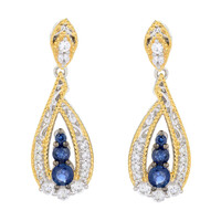 Blue Sapphire Silver Earrings (Gems en Vogue)
