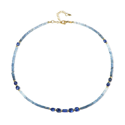 Santa Maria Aquamarine Silver Necklace (Riya)