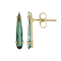 9K Santa Rosa Tourmaline Gold Earrings (de Melo)