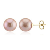 Purple Ming Pearl Silver Earrings (TPC)