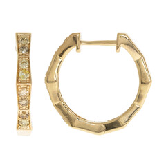 14K SI2 Fancy Diamond Gold Earrings (CIRARI)