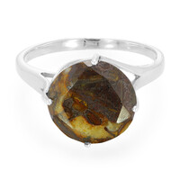 Dinosaur Bone Silver Ring