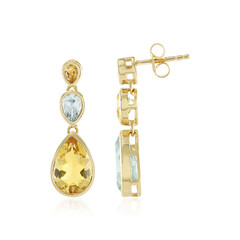 Sky Blue Topaz Silver Earrings