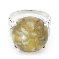 Dinosaur Bone Silver Ring