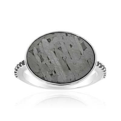 Aletai-Meteorite Silver Ring