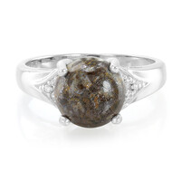 Dinosaur Bone Silver Ring