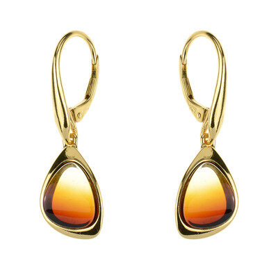 Baltic Amber Silver Earrings (dagen)