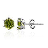 Burmese Peridot Silver Earrings
