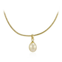 Kabira Golden South Sea Pearl Silver Necklace (TPC)