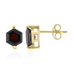 Garnet Silver Earrings