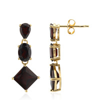 Garnet Silver Earrings