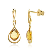 Baltic Amber Silver Earrings