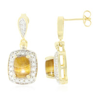 Tiger´s Eye Silver Earrings