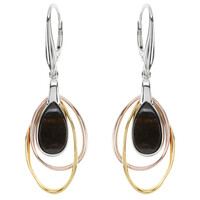 Petrified Wood Silver Earrings
