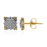 PK (I) Diamond Silver Earrings