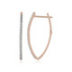 Zircon Silver Earrings