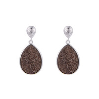 Zwenkau Druzy Wood Silver Earrings