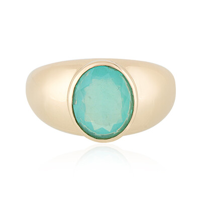 14K Paraiba Opal Gold Ring (AMAYANI)