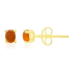 Carnelian Silver Earrings