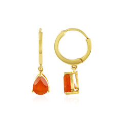 Carnelian Silver Earrings