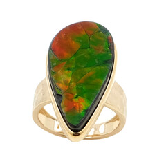 14K Ammolite Gold Ring (de Melo)