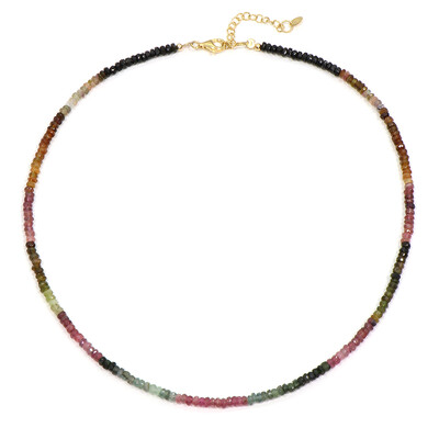 Fancy Tourmaline Silver Necklace