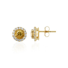 Yellow Zircon Silver Earrings