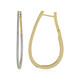 Zircon Silver Earrings