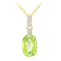 18K Paraiba Tourmaline Gold Necklace (AMAYANI)