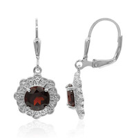 Garnet Silver Earrings