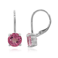 Flamingo Mystic Topaz Silver Earrings