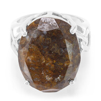 Dinosaur Bone Silver Ring