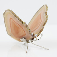 Accessory with Orange Agate
