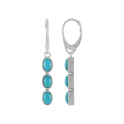 Turquoise Silver Earrings (MONOSONO COLLECTION)