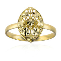 14K Gold Ring (Goldkunst)