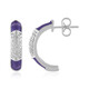 Zircon Silver Earrings