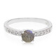 Romanian Spectrolite Silver Ring