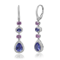 14K AAA Tanzanite Gold Earrings (CIRARI)