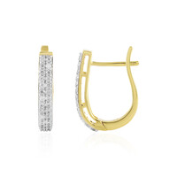 Zircon Silver Earrings