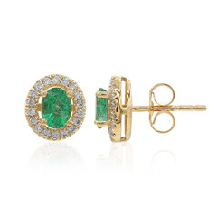 10K AAA Zambian Emerald Gold Earrings