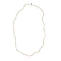 Freshwater pearl Silver Necklace (TPC)