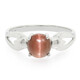 Cat´s Eye Scapolite Silver Ring