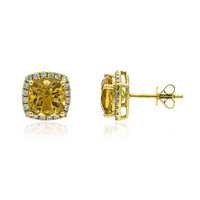 14K Imperial Beryl Gold Earrings (AMAYANI)